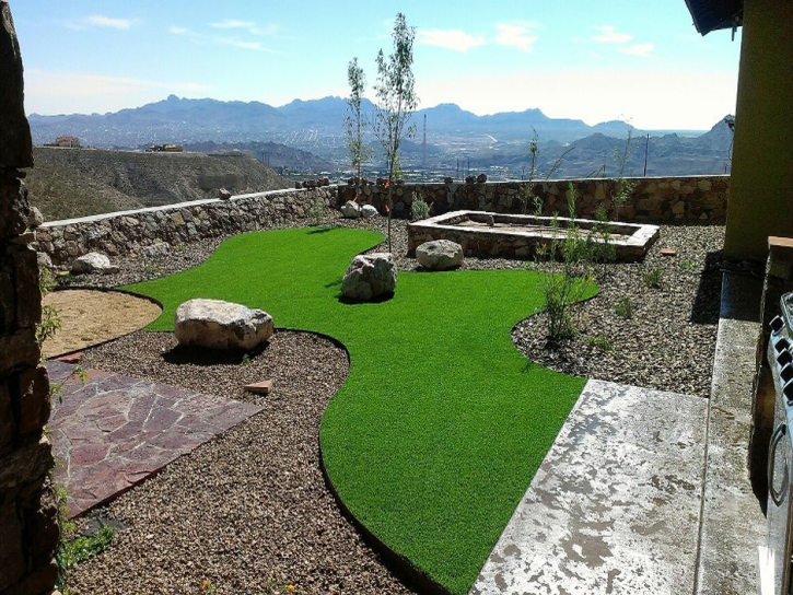 Fake Lawn San Juan Capistrano, California Design Ideas, Backyard Ideas