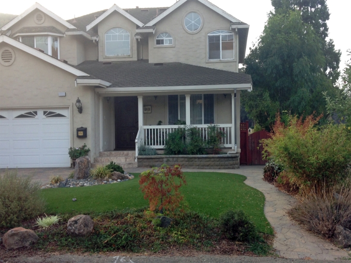 Fake Lawn Trabuco Canyon, California Lawn And Garden, Landscaping Ideas For Front Yard