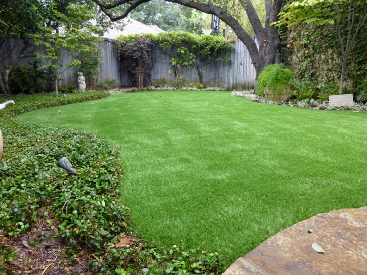 Fake Lawn Tustin, California Design Ideas, Backyard Makeover