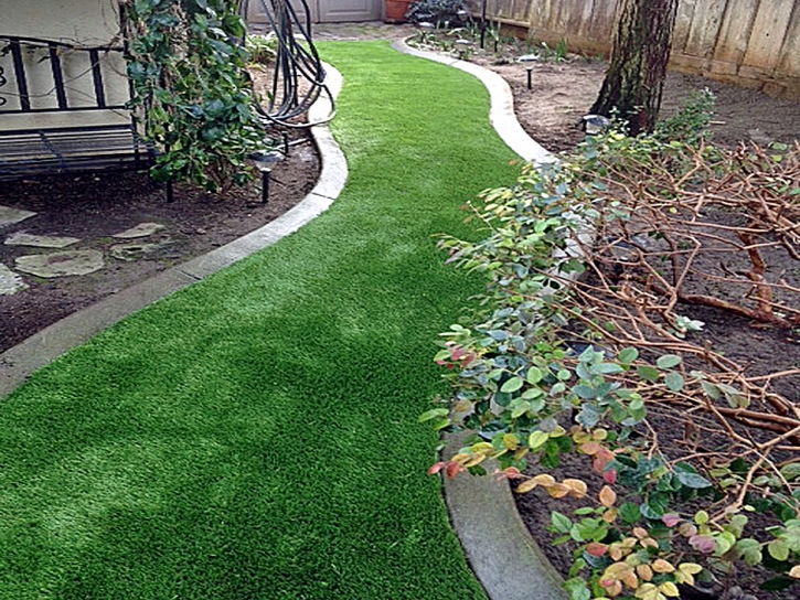 Fake Turf Coto De Caza, California Landscape Photos, Backyard Ideas