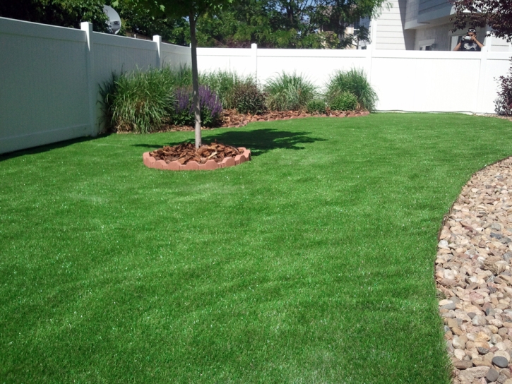 Fake Turf Las Flores, California Rooftop, Backyard Landscaping