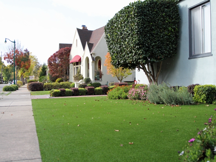 Fake Turf Orange, California Landscape Rock, Front Yard