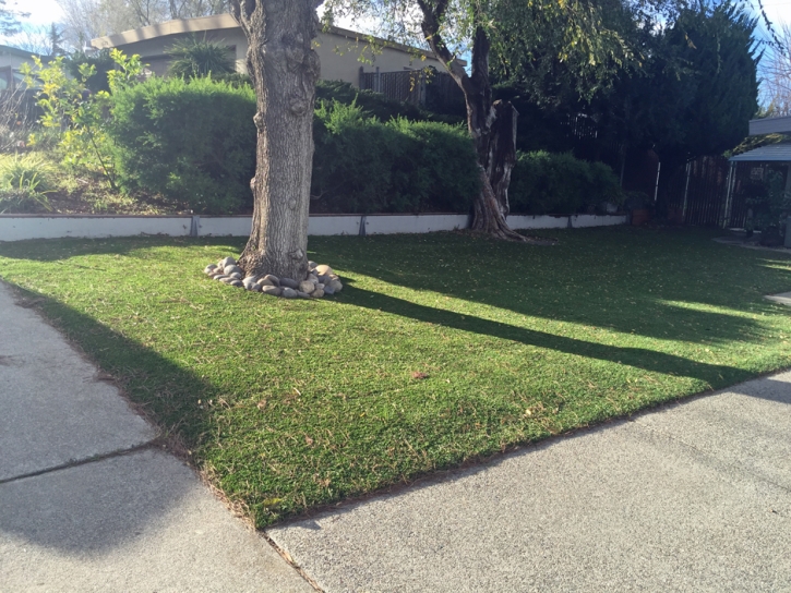 Fake Turf Portola Hills, California Landscaping, Front Yard Landscape Ideas