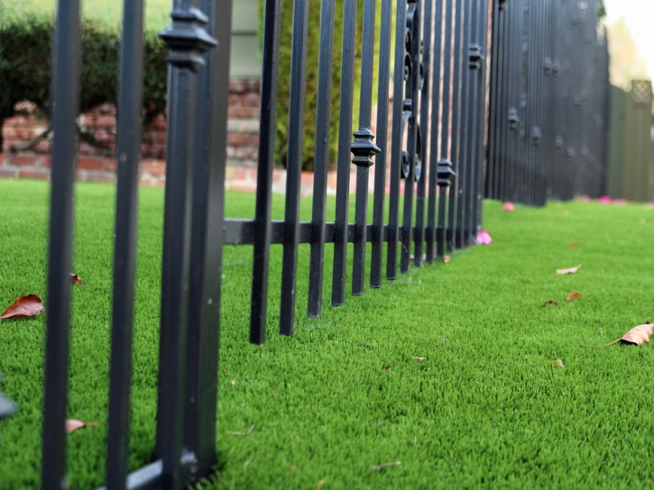 Fake Turf Yorba Linda, California Roof Top, Front Yard Landscape Ideas