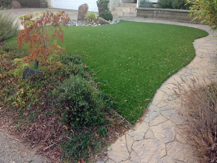 Faux Grass Costa Mesa, California Cat Playground, Beautiful Backyards