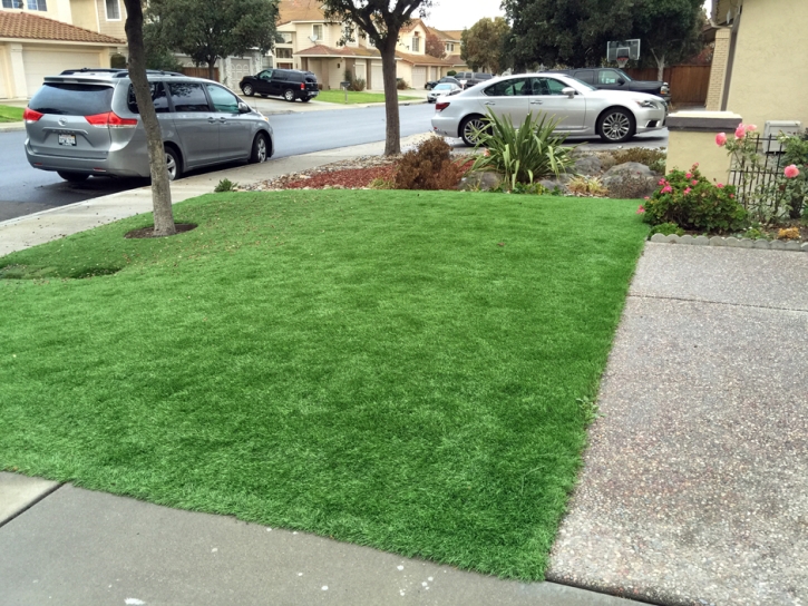 Faux Grass Dana Point, California Roof Top, Front Yard Landscaping