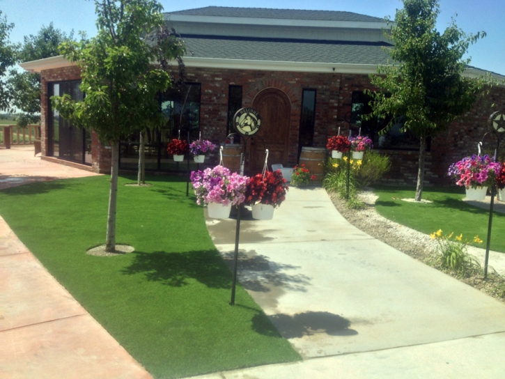 Faux Grass Laguna Niguel, California Landscape Design, Commercial Landscape