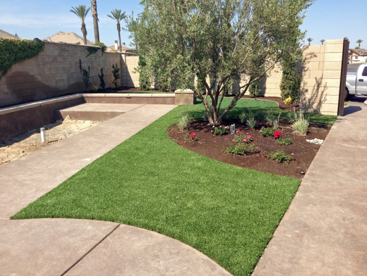 Faux Grass Las Flores, California Landscaping, Small Front Yard Landscaping