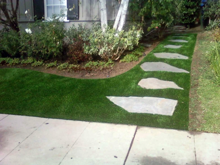 Faux Grass Midway City, California Garden Ideas, Front Yard Ideas