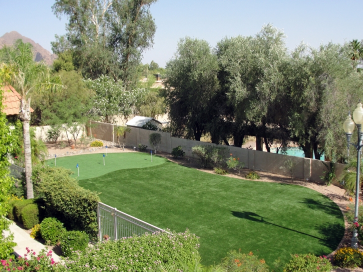 Faux Grass Trabuco Canyon, California Home And Garden, Backyard Designs