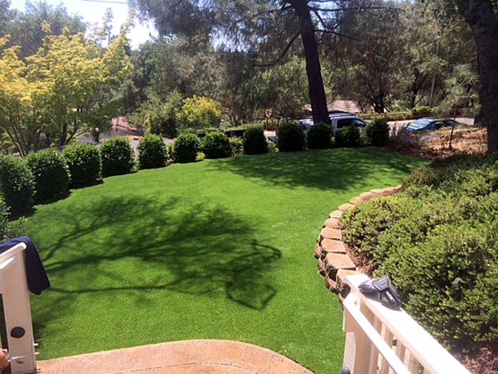 Grass Carpet Buena Park, California Landscape Design, Backyard Landscaping