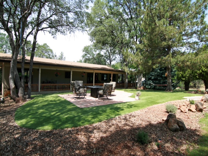 Grass Carpet Foothill Ranch, California Lawns, Backyard Garden Ideas