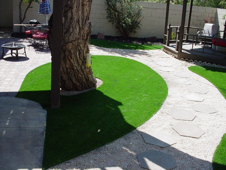 Grass Carpet Irvine, California Landscape Rock, Backyard Garden Ideas