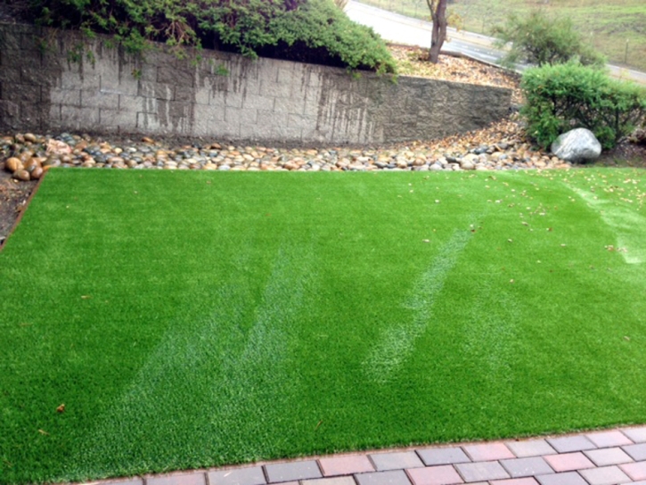 Grass Carpet Los Alamitos, California Gardeners, Front Yard Design