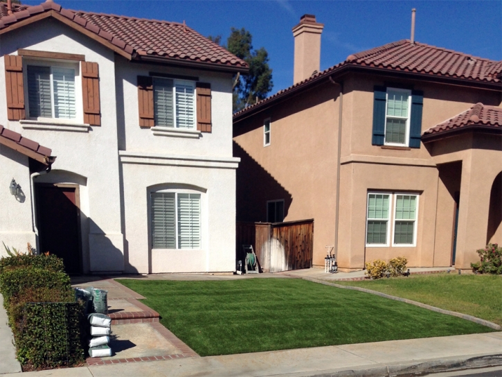 Grass Carpet San Joaquin Hills, California Lawn And Garden, Front Yard