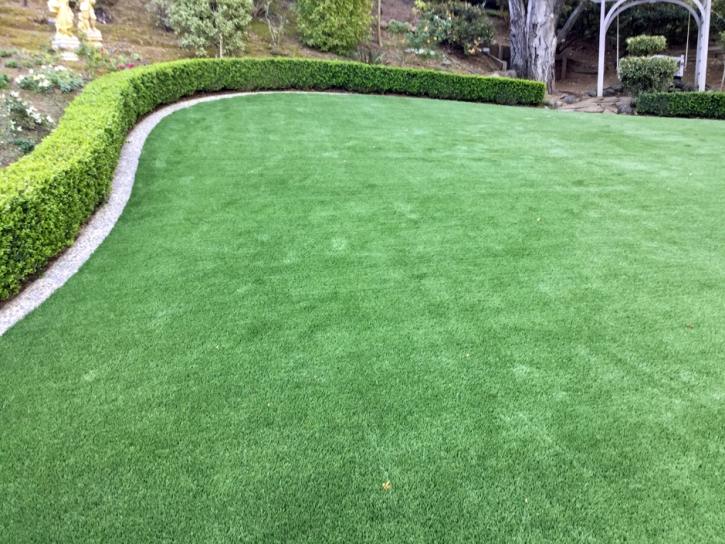 Grass Carpet Trabuco Canyon, California Landscape Ideas, Backyard Landscape Ideas