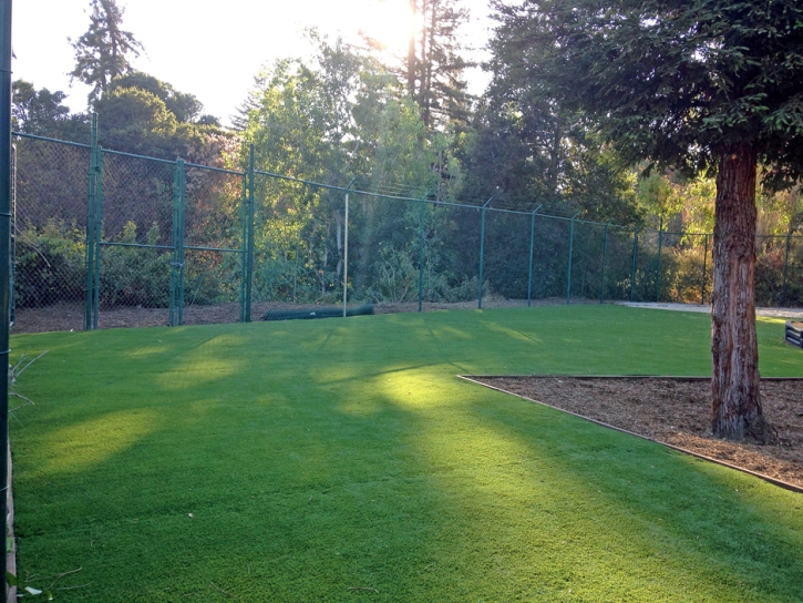 Grass Turf La Palma, California Roof Top, Recreational Areas