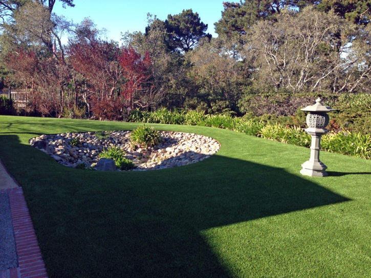 Grass Turf Ladera Ranch, California Landscape Photos, Small Backyard Ideas