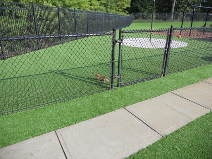 Grass Turf Lake Forest, California Athletic Playground, Recreational Areas