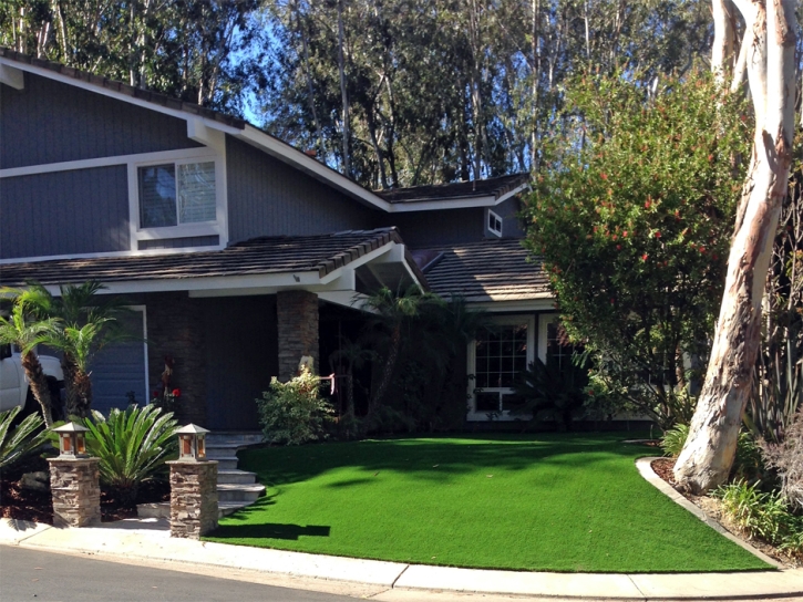 Grass Turf Los Alamitos, California Landscape Photos, Landscaping Ideas For Front Yard