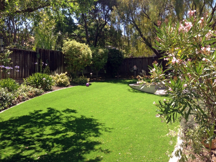 Grass Turf Midway City, California Landscaping, Backyard Designs