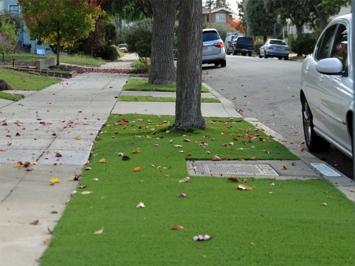 Grass Turf Rossmoor, California Roof Top, Front Yard Ideas