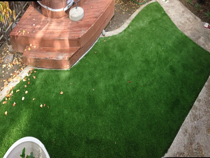 Green Lawn Coto De Caza, California Rooftop, Backyard Landscape Ideas