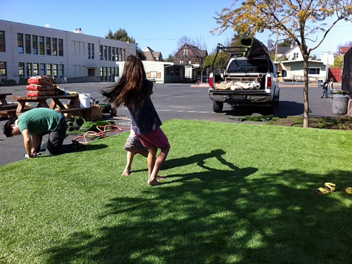 Green Lawn Huntington Beach, California Roof Top, Commercial Landscape