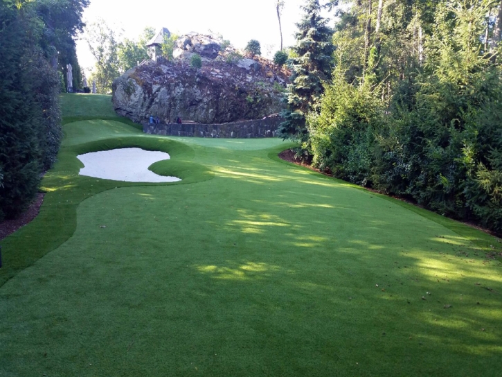 Green Lawn Ladera Ranch, California Gardeners, Commercial Landscape