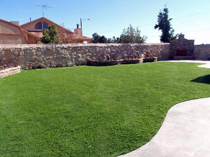 Green Lawn Seal Beach, California Backyard Deck Ideas, Beautiful Backyards