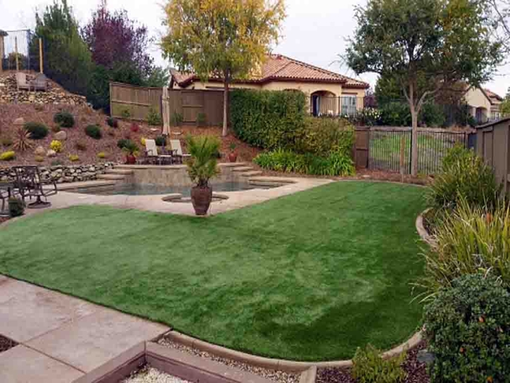 Installing Artificial Grass Laguna Beach, California Landscaping Business, Backyard Landscape Ideas