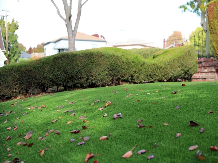 Lawn Services Fountain Valley, California Gardeners, Front Yard Landscaping Ideas