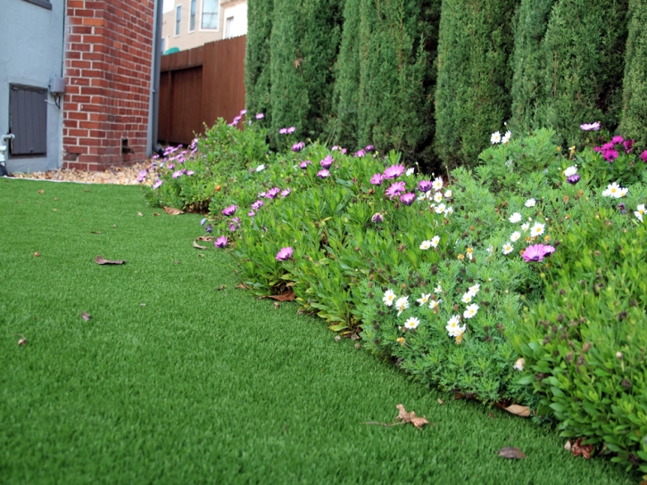 Lawn Services Rancho Santa Margarita, California Landscaping Business, Front Yard