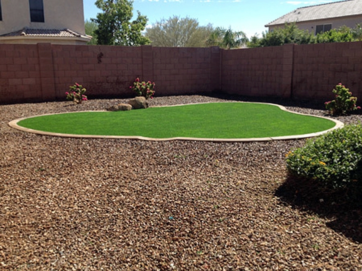 Outdoor Carpet La Habra, California Gardeners, Backyard