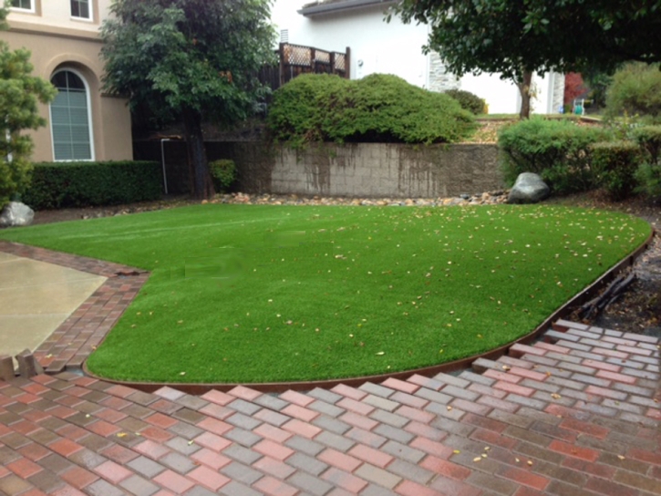 Outdoor Carpet Seal Beach, California City Landscape, Front Yard