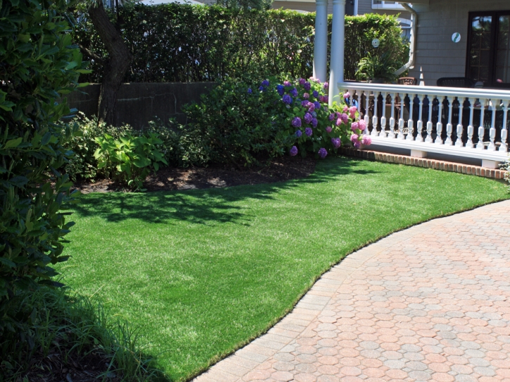 Outdoor Carpet Stanton, California Lawn And Landscape, Front Yard Landscaping Ideas