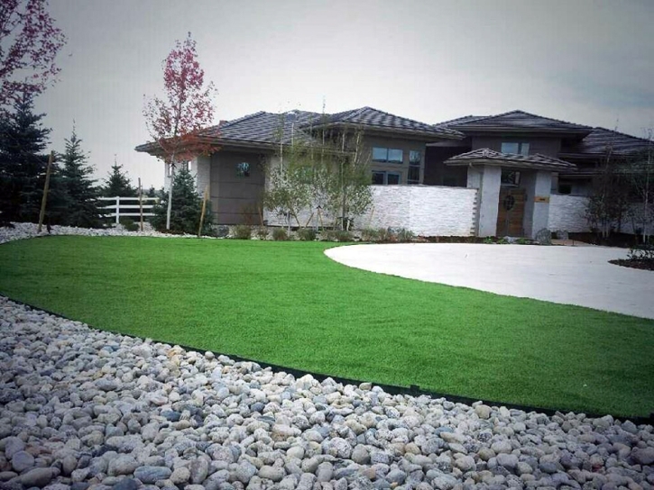 Plastic Grass Ladera Ranch, California Backyard Playground, Front Yard Landscape Ideas