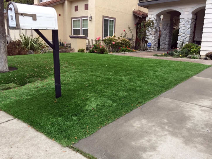 Plastic Grass Los Alamitos, California Landscape Photos, Front Yard Ideas