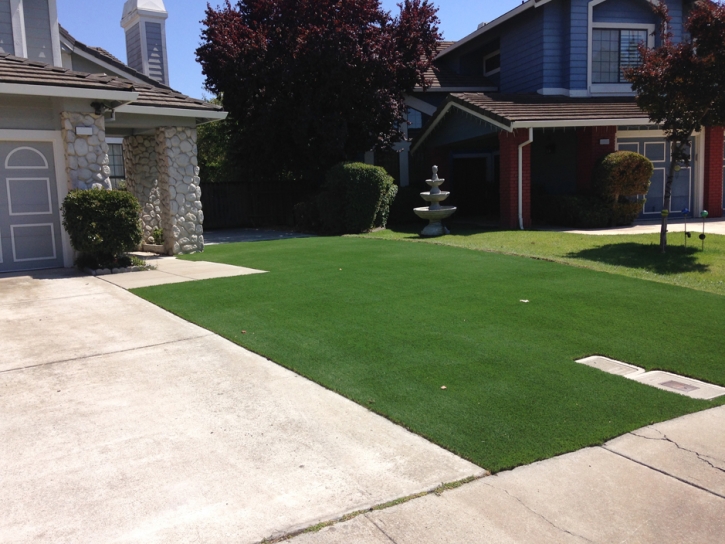 Plastic Grass Rancho Santa Margarita, California Landscaping, Front Yard Landscaping