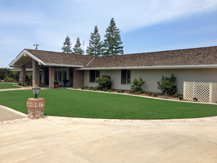 Synthetic Grass Cost Las Flores, California Landscape Photos, Front Yard Landscaping