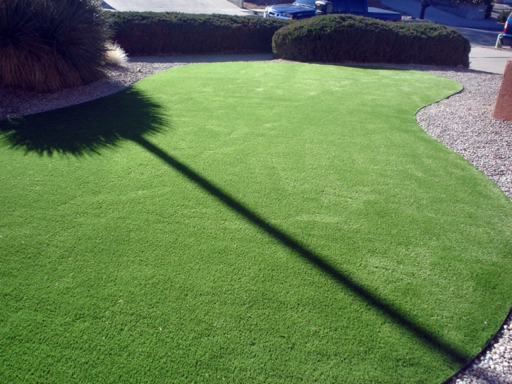 Synthetic Grass Cost North Tustin, California City Landscape, Front Yard Design