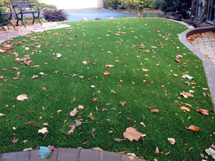 Synthetic Grass Cost Placentia, California Landscape Ideas, Front Yard