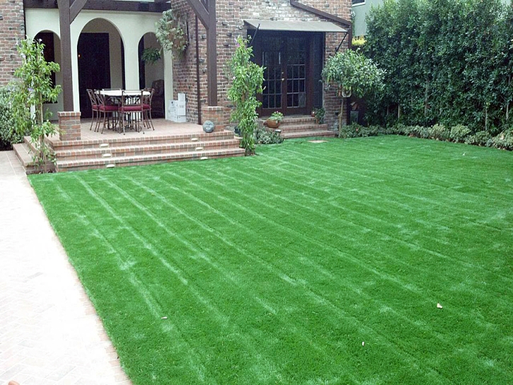 Synthetic Grass Cost Portola Hills, California Garden Ideas, Front Yard Ideas