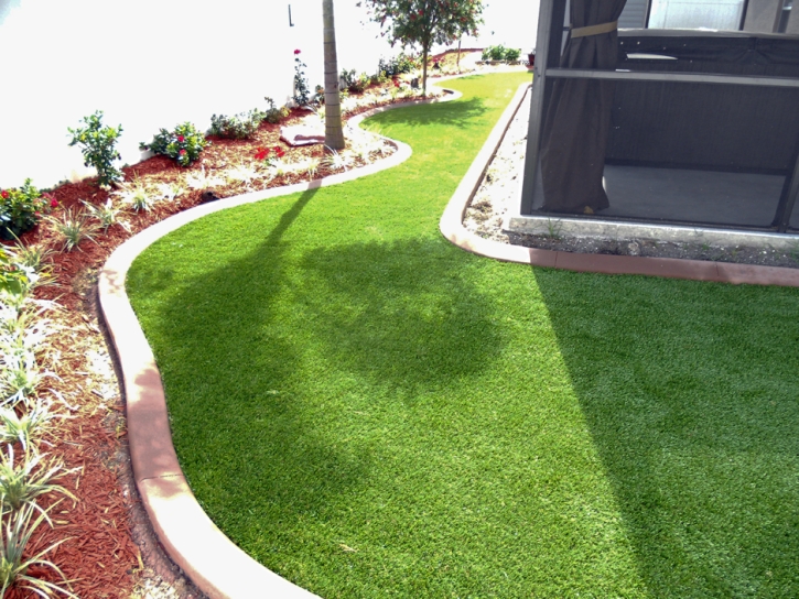 Synthetic Grass Seal Beach, California Home And Garden, Backyard