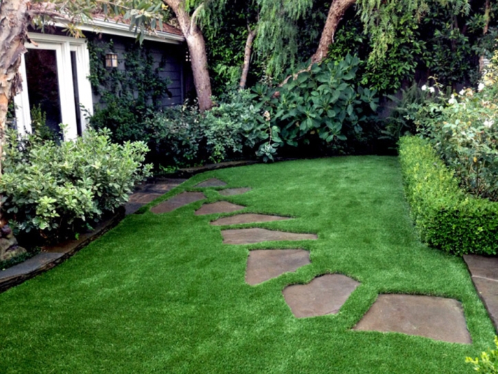 Synthetic Lawn Costa Mesa, California Landscaping, Backyard Landscaping