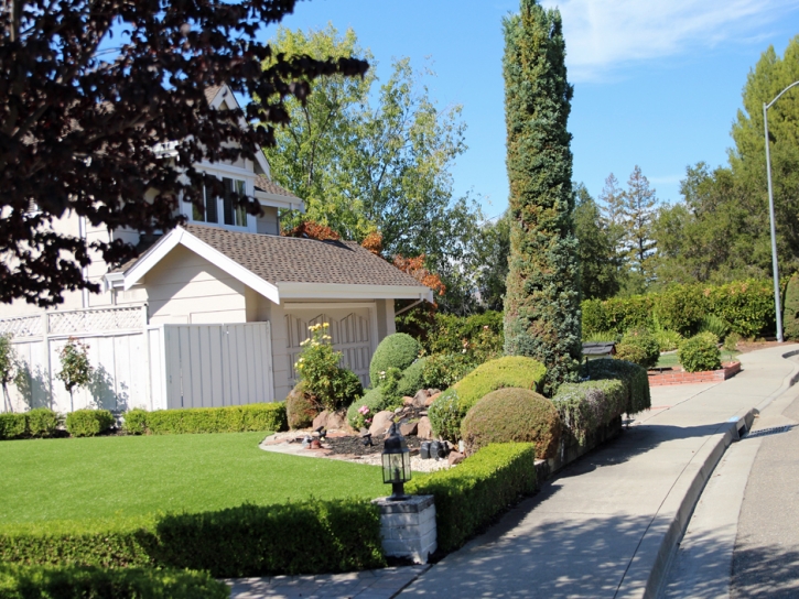 Synthetic Lawn Yorba Linda, California Landscape Rock, Front Yard