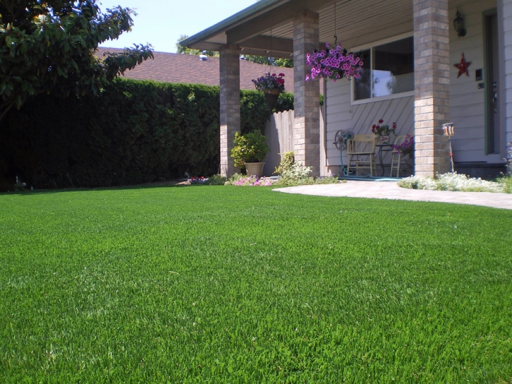 Synthetic Turf Brea, California Landscape Design, Front Yard