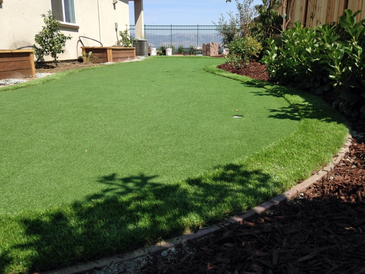 Synthetic Turf Buena Park, California Gardeners, Backyard Landscaping