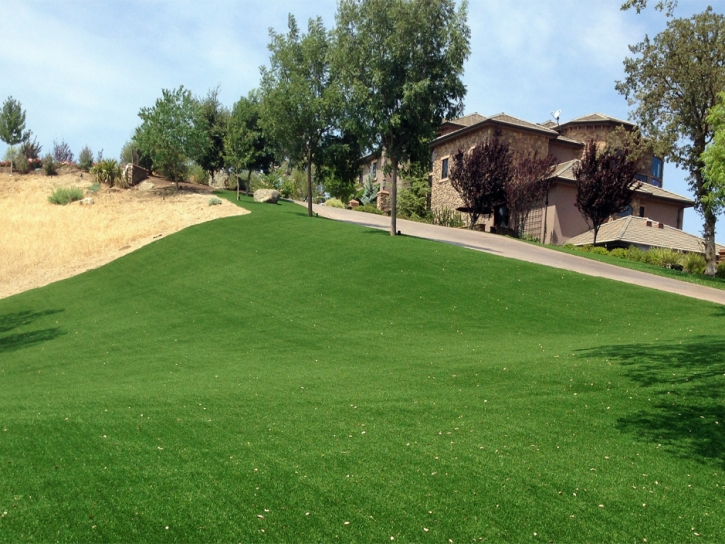 Synthetic Turf Coto De Caza, California Landscape Ideas, Front Yard Landscaping