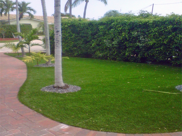 Synthetic Turf San Juan Capistrano, California City Landscape, Front Yard Landscaping